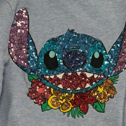 Disneyland Paris, Sweaters, 110 cm close up